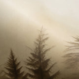 Veer Decor Silent Woods Beige Wall Mural 8416-VRZM-AH-1