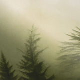 Veer Decor Silent Woods Green Wall Mural 8416-VRZM-AH-2