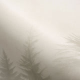 Veer Decor Silent Woods Cream Wall Mural 8416-VRZM-AH-3