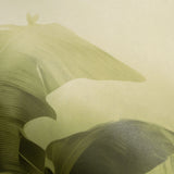 Veer Decor Jungle Veil Green Wall Mural 8416-VRZM-AM-1