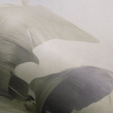 Veer Decor Jungle Veil Grey Wall Mural 8416-VRZM-AM-2