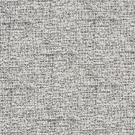 Schumacher Zuzu Indoor/Outdoor White On Black Fabric