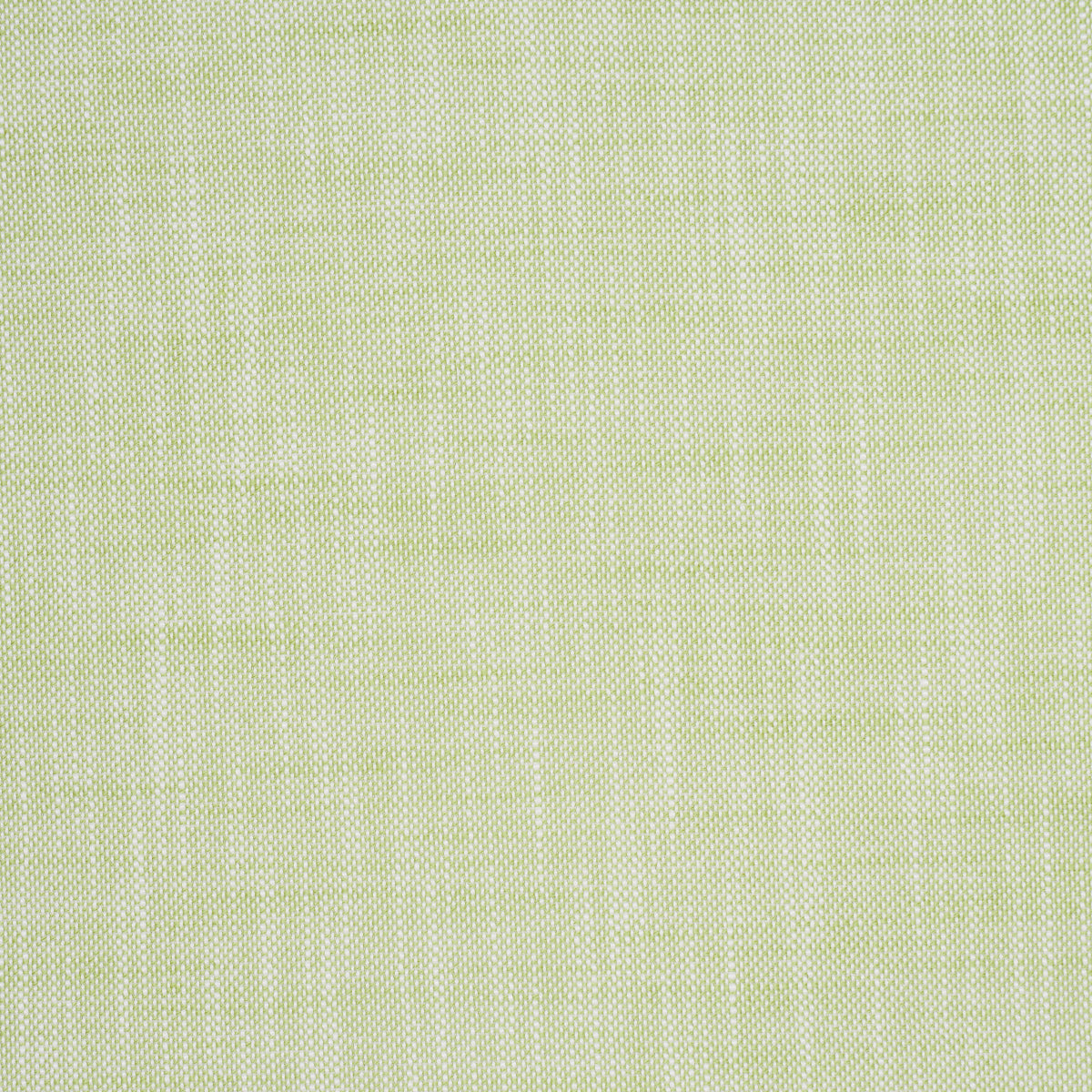 Schumacher Sasha Indoor/Outdoor Green Fabric - Eade's Wallpaper