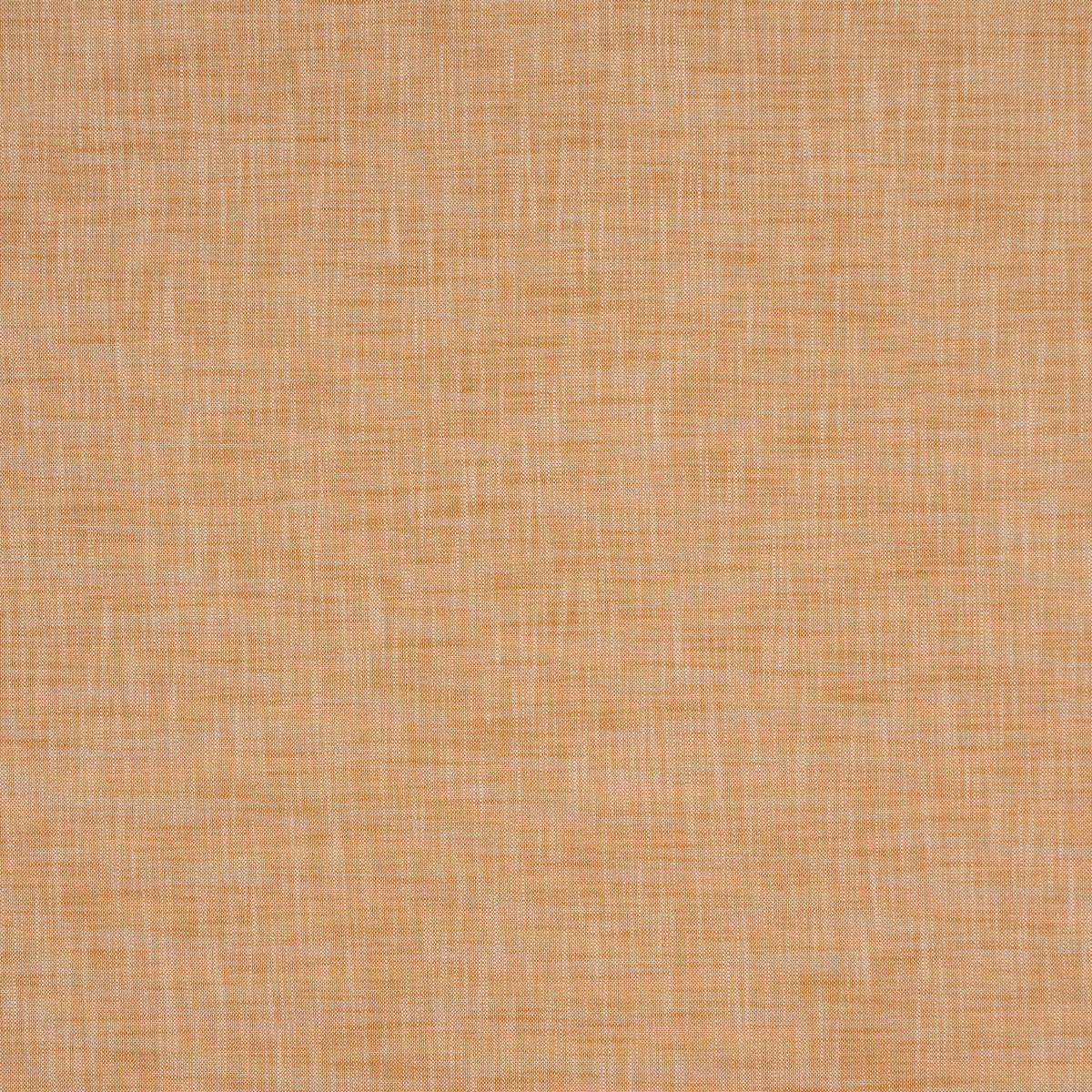 Schumacher Sasha Indoor/Outdoor Tan Fabric - Eade's Wallpaper