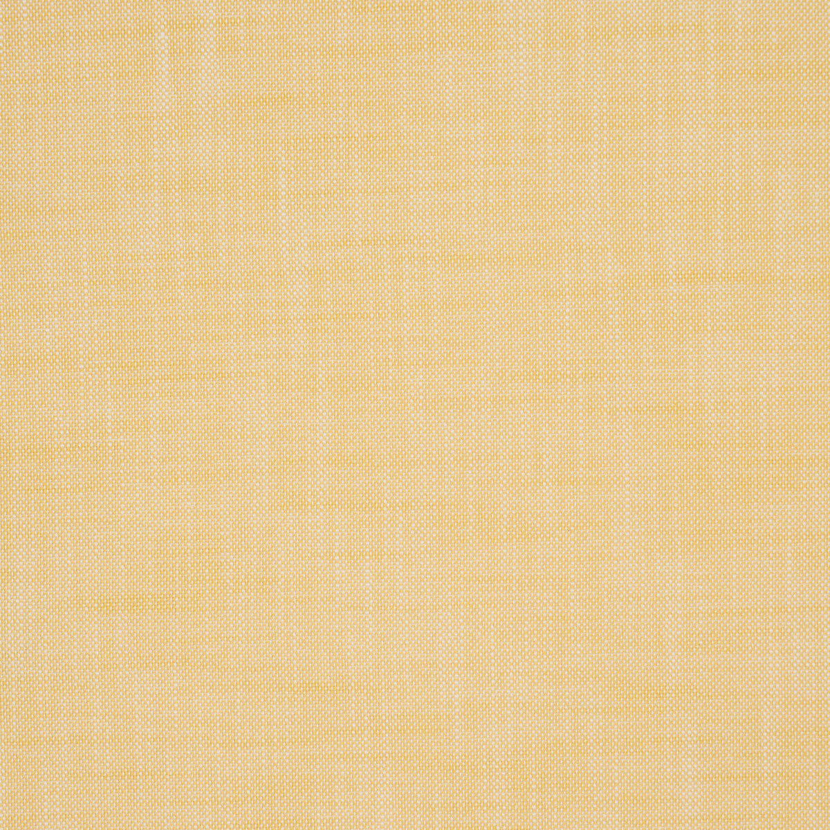Schumacher Sasha Indoor/Outdoor Yellow Fabric - Eade's Wallpaper
