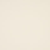 Schumacher Sasha Indoor/Outdoor Ivory Fabric - Eade's Wallpaper