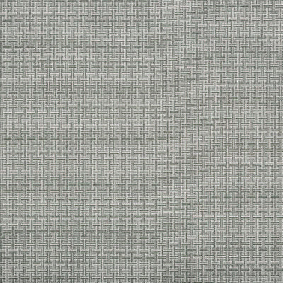 Pindler KYLE WILLOW 8425 Fabric