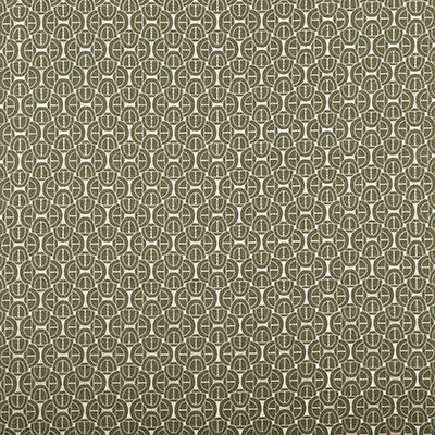Pindler COLSON CEDAR 8426 Fabric
