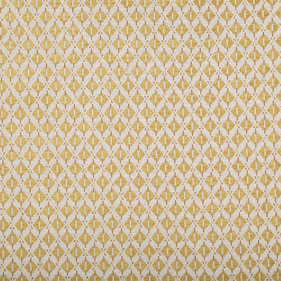 Pindler AIDEN DIJON 8427 Fabric