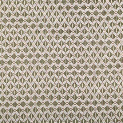Pindler AIDEN SAGE 8427 Fabric