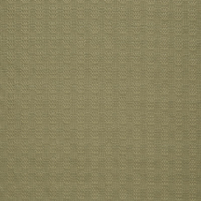 Pindler SPENCER MOSS 8428 Fabric
