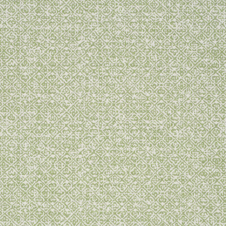 Schumacher 84302 SARONG WEAVE INDOOR/OUTDOOR in LEAF Fabric 