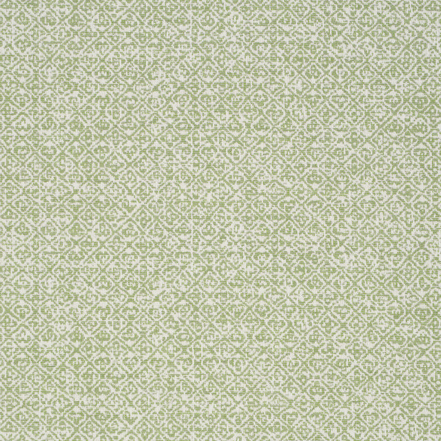 Schumacher 84302 SARONG WEAVE INDOOR/OUTDOOR in LEAF Fabric 