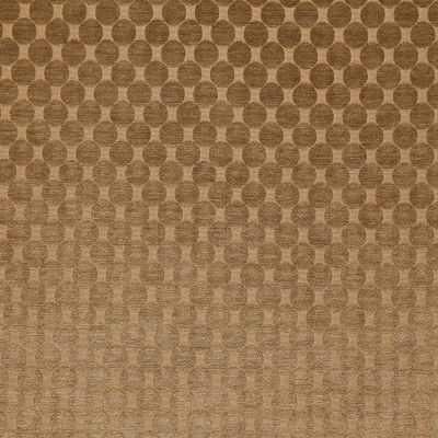 Pindler PEARL CUMIN 8435 Fabric