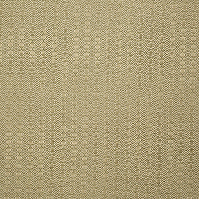 Pindler FRACTAL MOSS 8445 Fabric