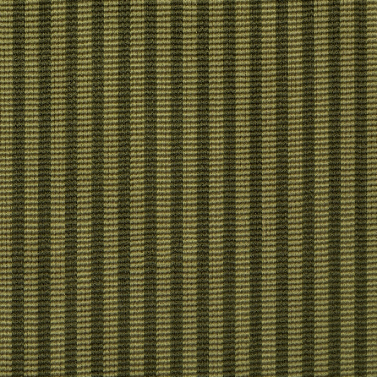 Schumacher 85512 PIPE ILLUSION in MOSS Fabric - LAURA GONZAL