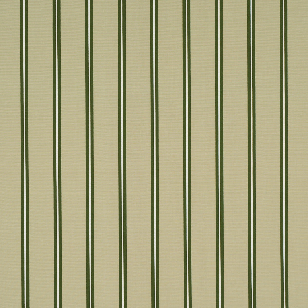 Schumacher 85622 BRIONY STRIPE in LEAF Fabric - NEW TRADITIO