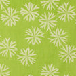 Schumacher 870V60 EVERGLADES BY RAOUL in LAWN Fabric - RAOUL