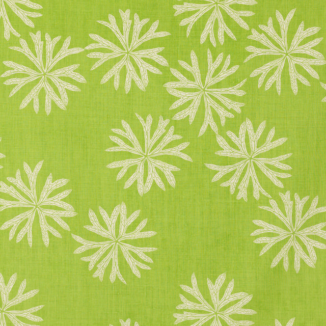 Schumacher 870V60 EVERGLADES BY RAOUL in LAWN Fabric - RAOUL