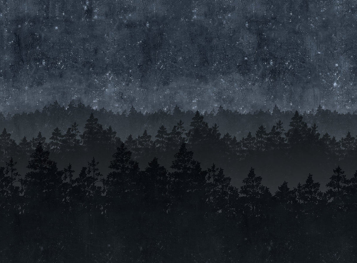 Engblad & Co 8845 Nordic Night Wall Mural