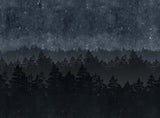 Engblad & Co 8845 Nordic Night Wall Mural