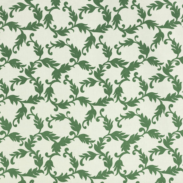 Schumacher 889V94 CYRIL in VERDE Fabric - RAOUL TEXTILES