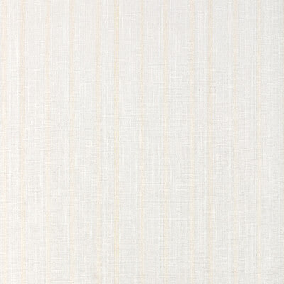 KRAVET BASICS KRAVET BASICS 90068.16.0 in 90068-16 Fabric - 