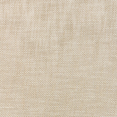 KRAVET BASICS KRAVET BASICS 90076.106.0 in 90076-106 Fabric 
