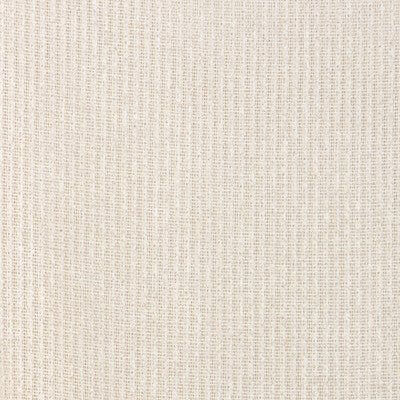 KRAVET BASICS KRAVET BASICS 90077.16.0 in 90077-16 Fabric - 