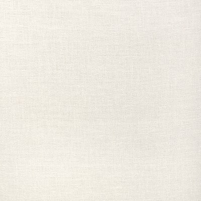 KRAVET BASICS KRAVET BASICS 90085.101.0 in 90085-101 Fabric 