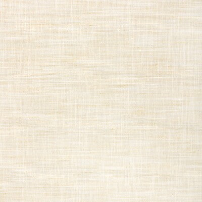 KRAVET BASICS KRAVET BASICS 90086.1.0 in 90086-1 Fabric - SI