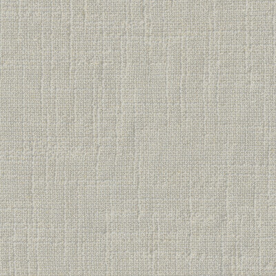KRAVET DESIGN KRAVET DESIGN 90142.101.0 in 90142-101 Fabric 