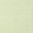 Schumacher 902V69 COWRIE in OLIVINE Fabric - RAOUL TEXTILES