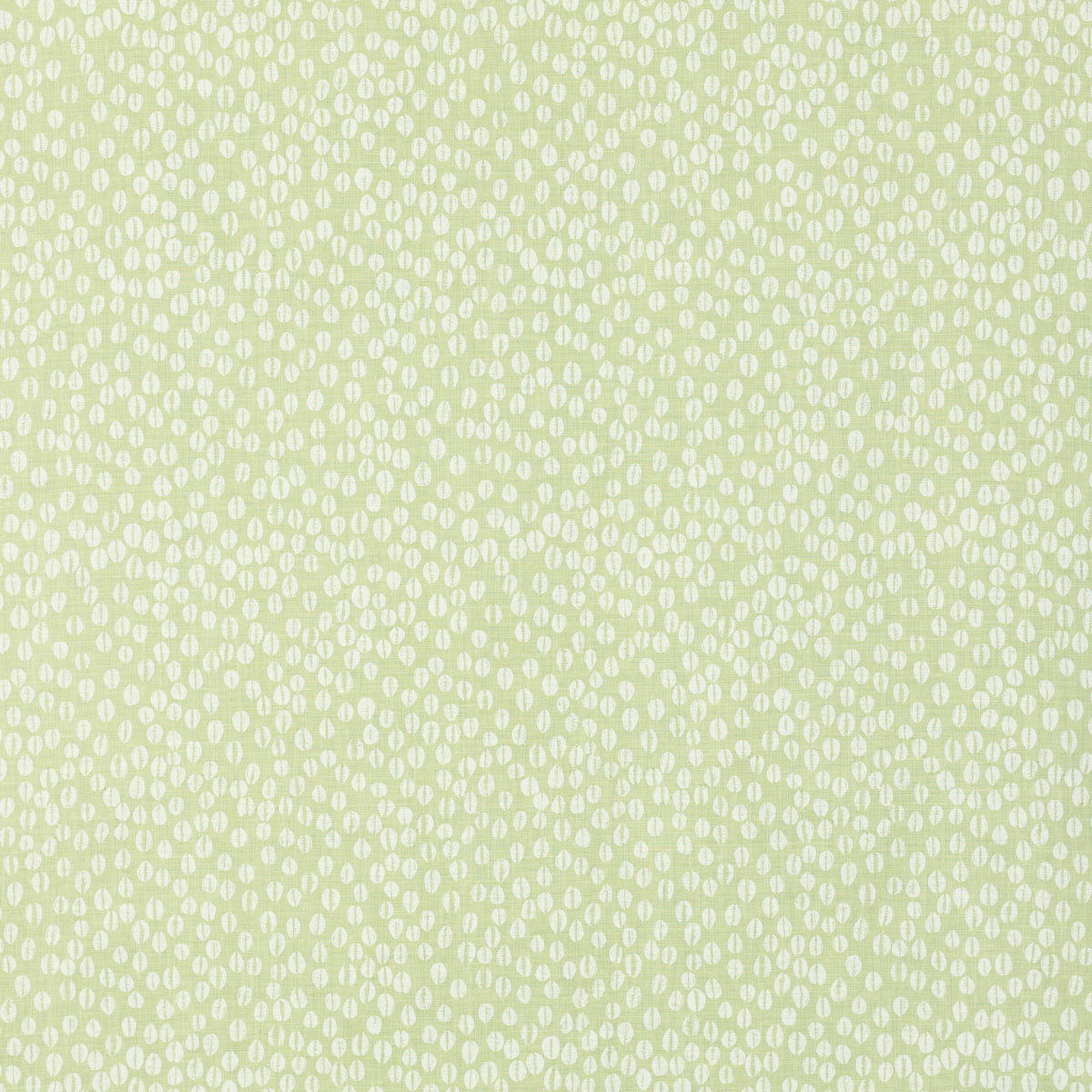 Schumacher 902V69 COWRIE in OLIVINE Fabric - RAOUL TEXTILES