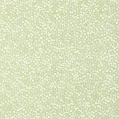 Schumacher 902V69 COWRIE in OLIVINE Fabric - RAOUL TEXTILES