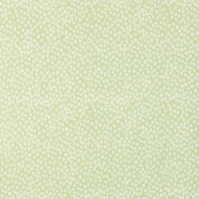 Schumacher 902V69 COWRIE in OLIVINE Fabric - RAOUL TEXTILES
