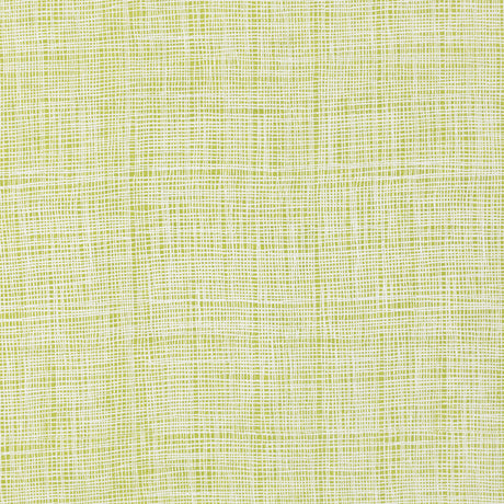 Schumacher 908B03 FORMOSA in GUAVA Fabric - RAOUL TEXTILES