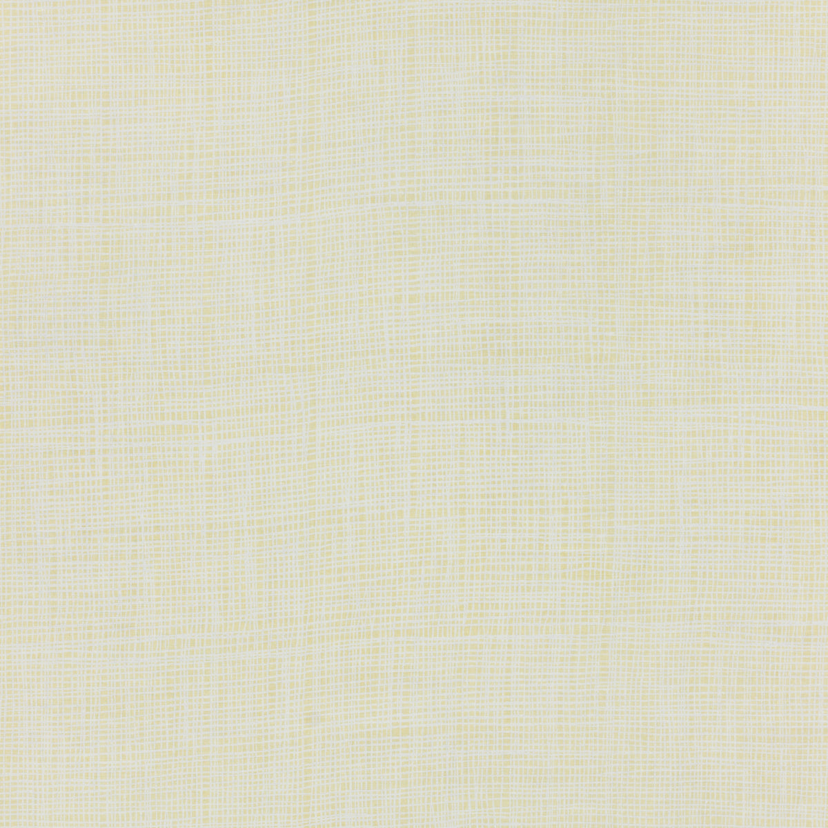 Schumacher 908B48 FORMOSA in HUSK Fabric - RAOUL TEXTILES