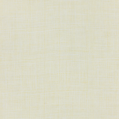 Schumacher 908B48 FORMOSA in HUSK Fabric - RAOUL TEXTILES