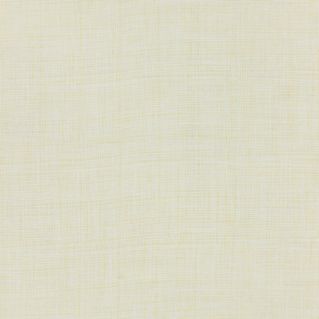 Schumacher 908B48 FORMOSA in HUSK Fabric - RAOUL TEXTILES