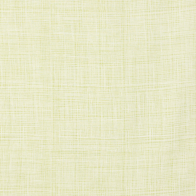Schumacher 908V69 FORMOSA in OLIVINE Fabric - RAOUL TEXTILES