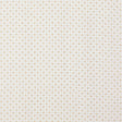Schumacher 910B48 PHOEBE in HUSK Fabric - RAOUL TEXTILES