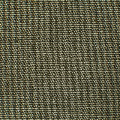 Pindler GHENT LICHEN 9122 Fabric
