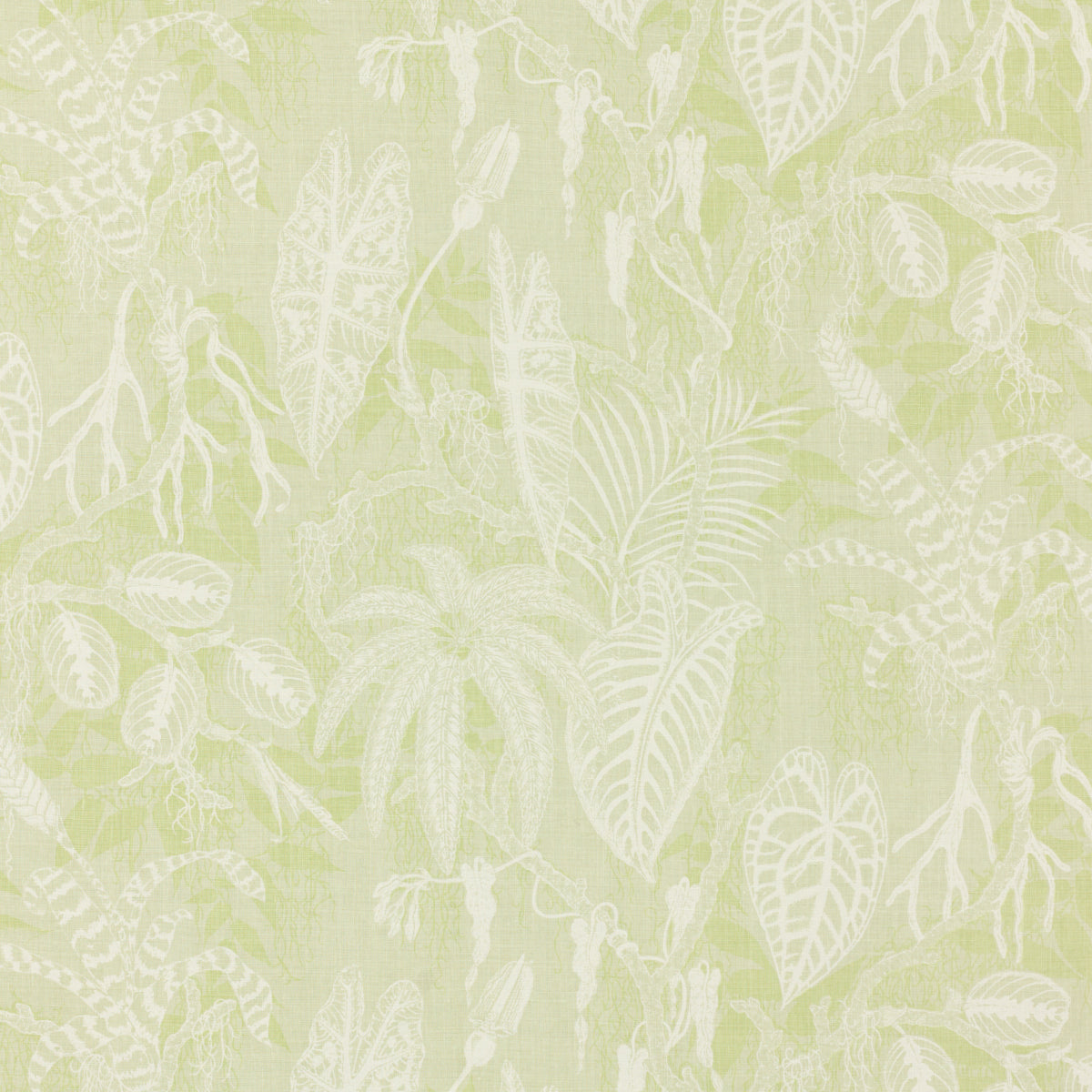 Schumacher 912V53 FLORESTA in THYME Fabric - RAOUL TEXTILES
