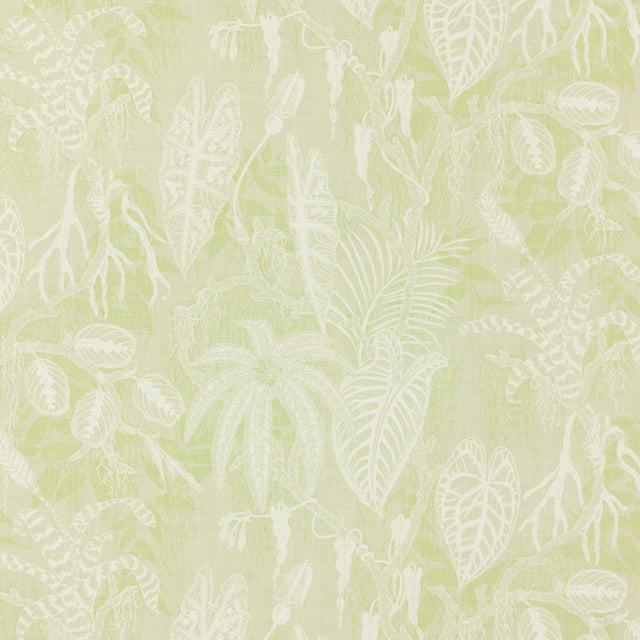 Schumacher 912V53 FLORESTA in THYME Fabric - RAOUL TEXTILES