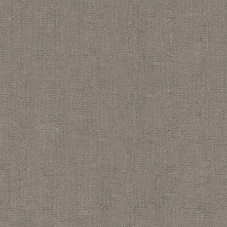 Galerie EN91935 Bronze Brown Fan Palm - Eade's Wallpaper