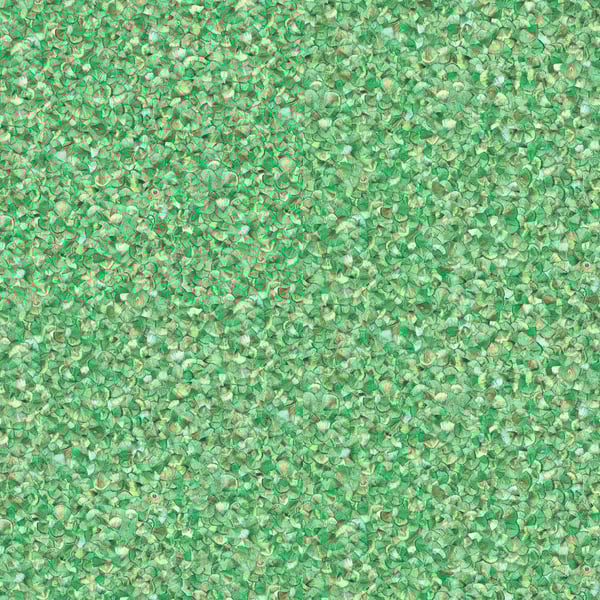 Galerie EN91953 Green Fthers - Eade's Wallpaper