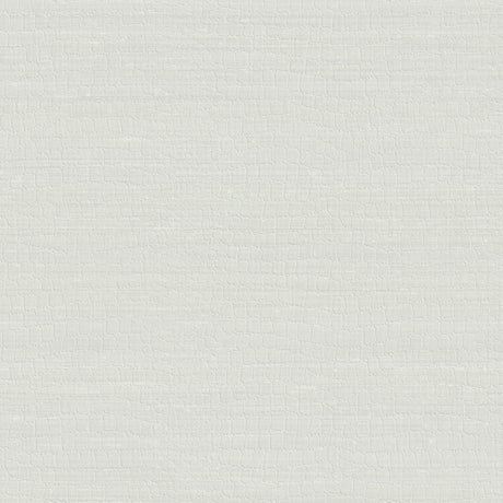 Armani TROCADERO 9250 in White Wallpaper - Refined Structure