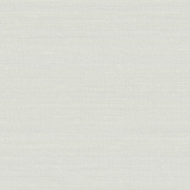 Armani TROCADERO 9250 in White Wallpaper - Refined Structure