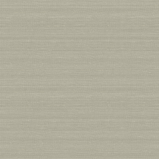 Armani TROCADERO 9251 in Taupe Wallpaper - Refined Structure